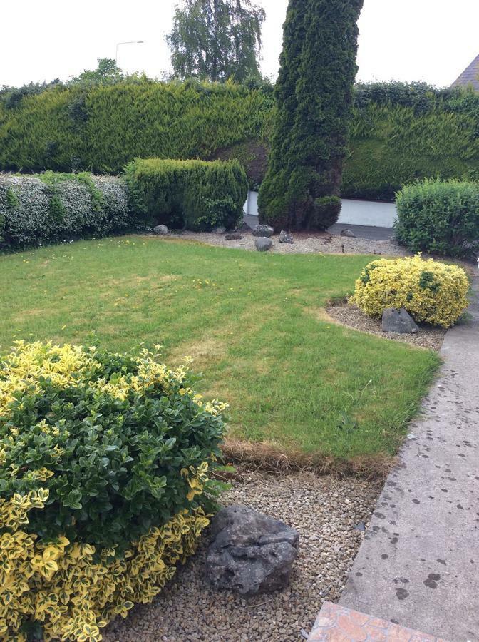 Riverside House Bed & Breakfast Roscommon Exterior photo